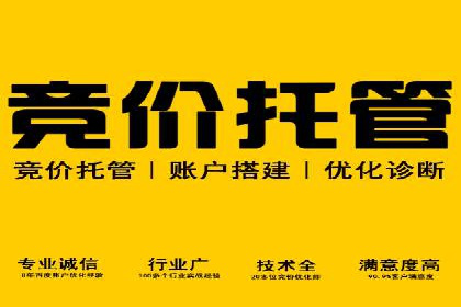 谷歌竞价广告在旅游行业的成功营销案例